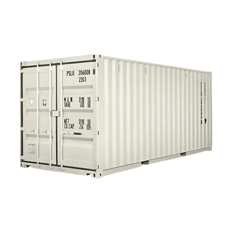 20FT Storage Container (SS-CSC020-T01)