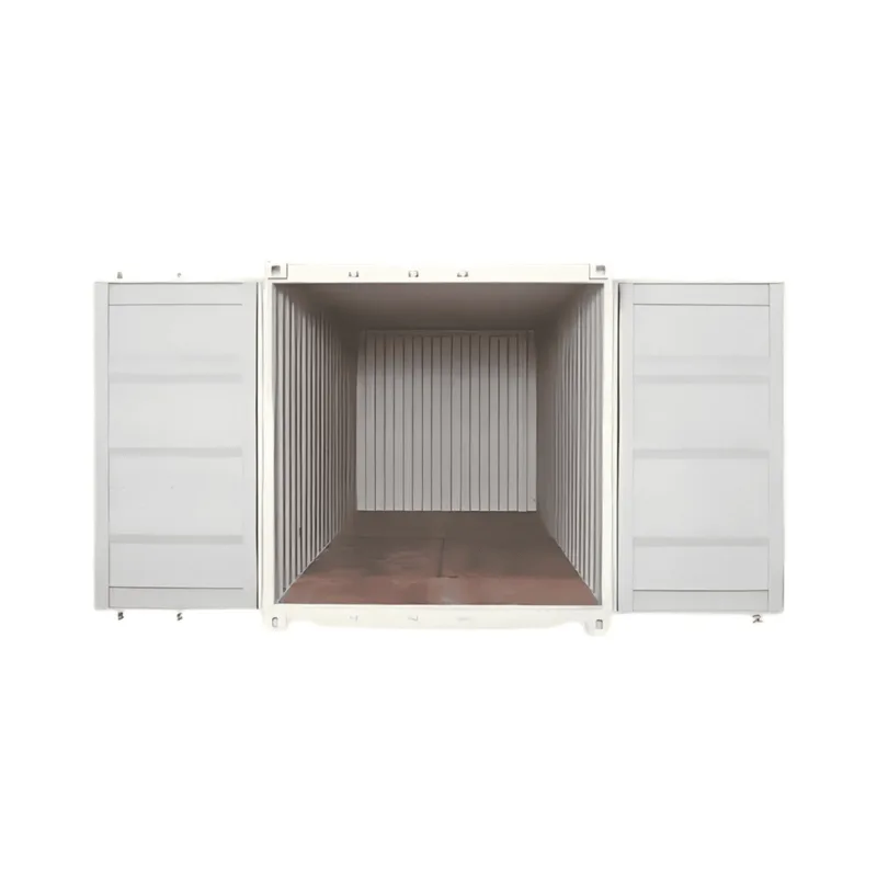 20FT Storage Container (SS-CSC020-T01)
