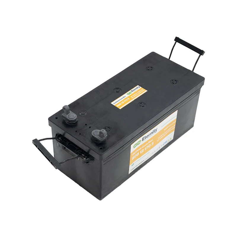 Large Batteries 12V (SS-PBT12V-T01)
