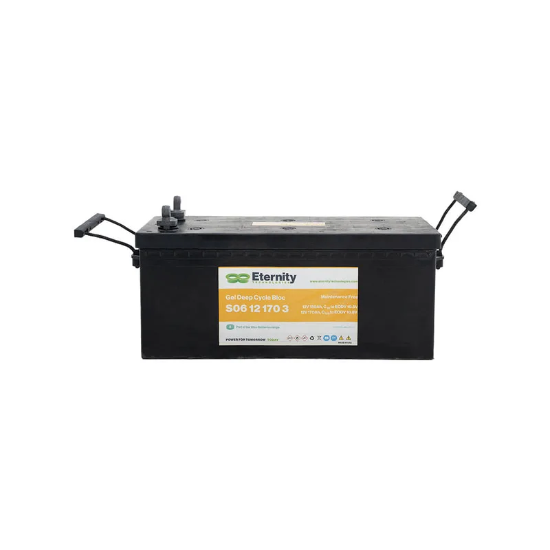 Large Batteries 12V (SS-PBT12V-T01)
