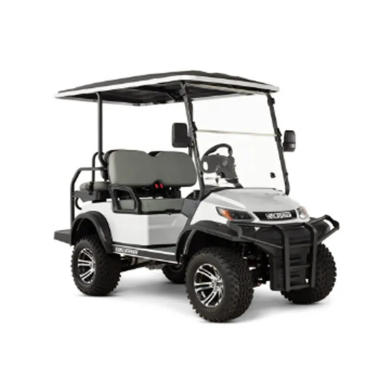 4 Seater Lifted Electric Buggy (SS-VGC4ST-T02)