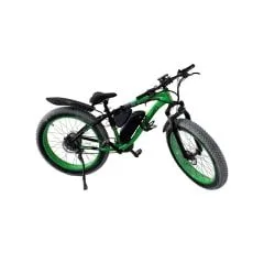 Electric Bike (SS-VBKBIK-T01)