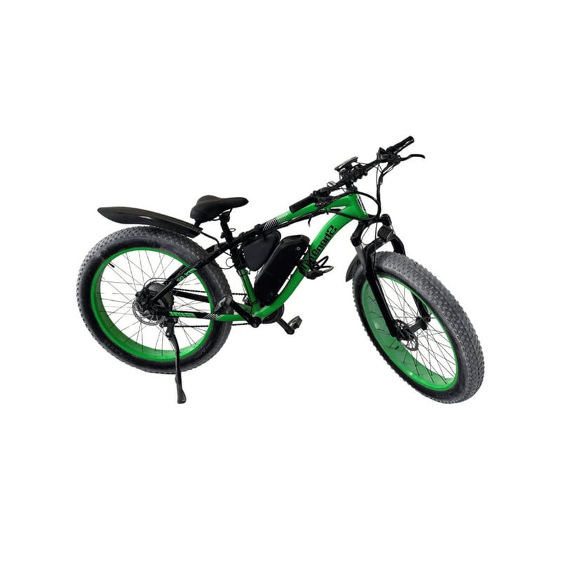 Electric Bike (SS-VBKBIK-T01)