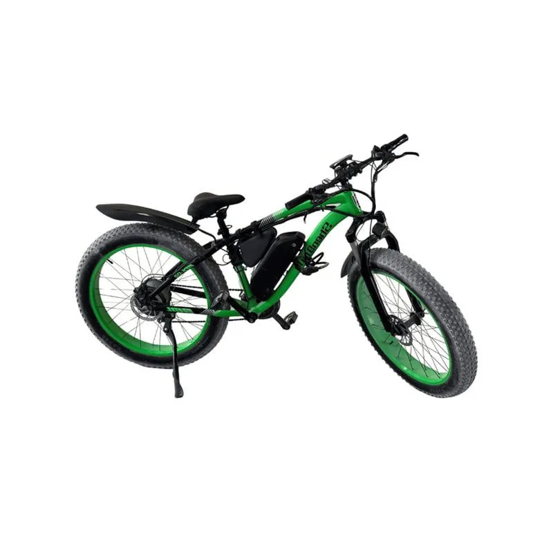 Electric Bike (SS-VBKBIK-T01)