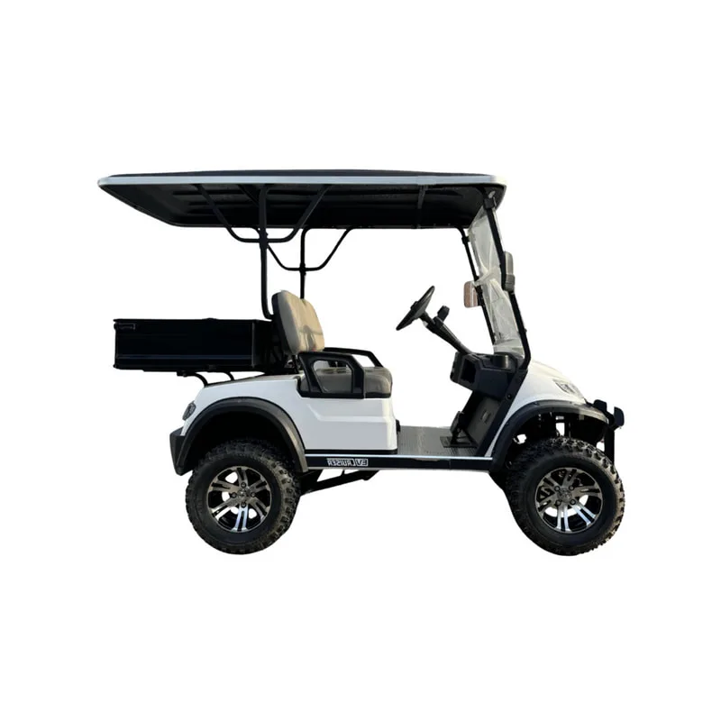 2 Seater Lifted Buggy with Cargo  (SS-VGC2SC-T02)