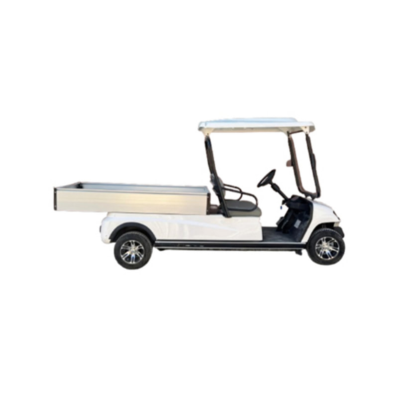 2 Seater Long Cargo Electric Buggy (SS-VGC2SL-T02)