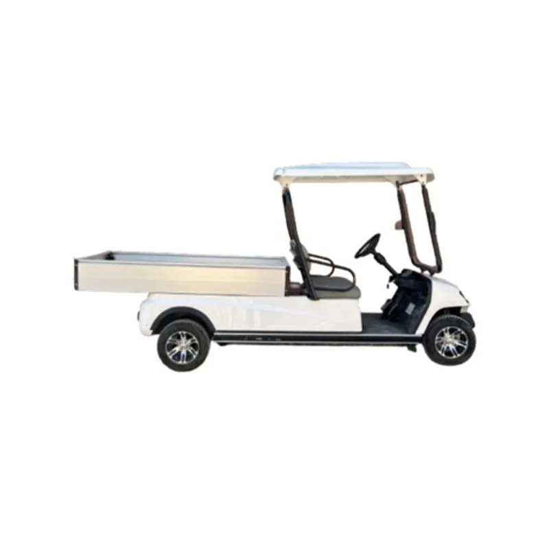 2 Seater Long Cargo Electric Buggy (SS-VGC2SL-T02)