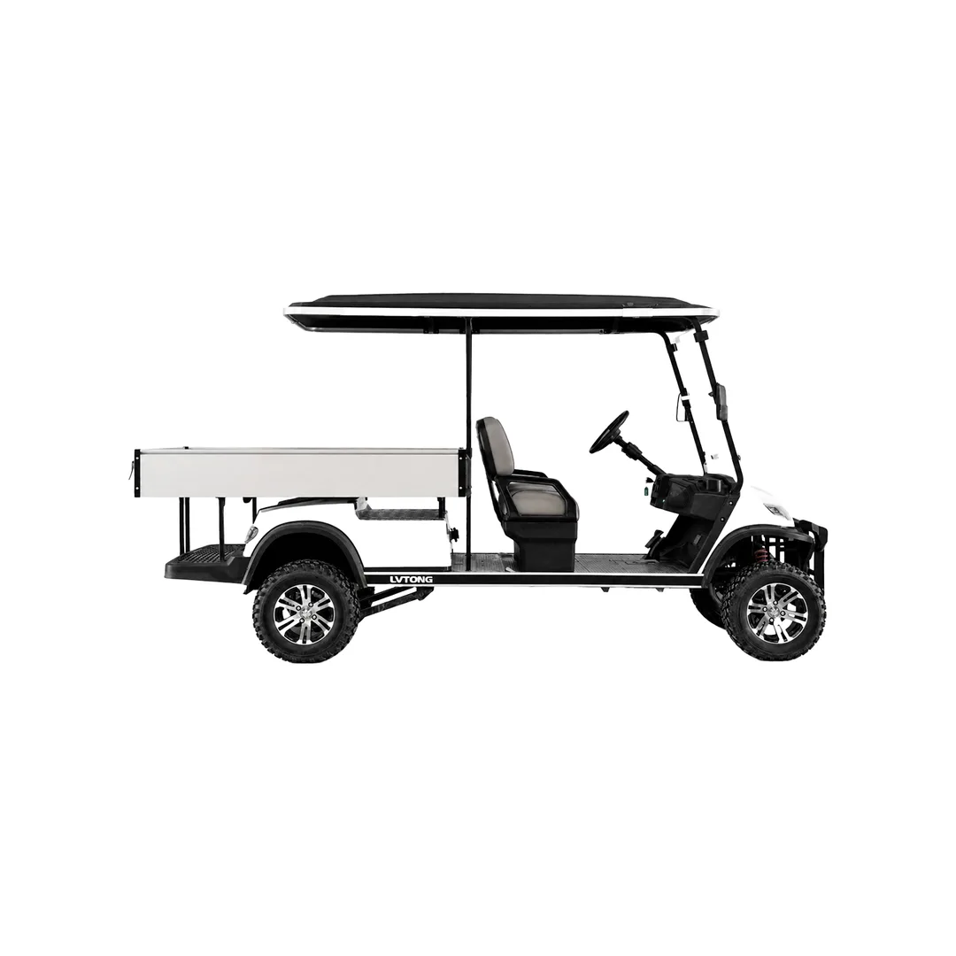 2 Seater Lifted Buggy with Long Cargo (SS-VGC2SL-T03)
