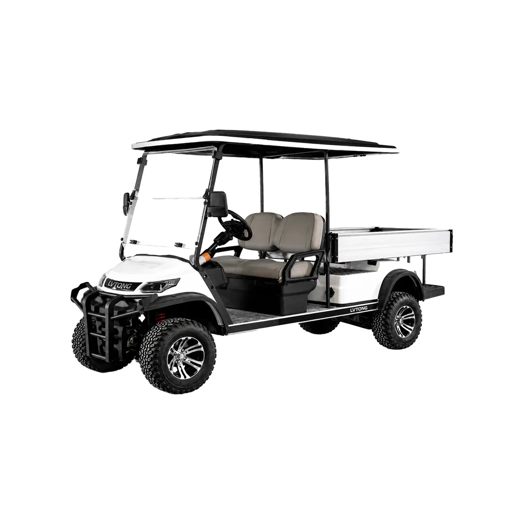 2 Seater Lifted Buggy with Long Cargo (SS-VGC2SL-T03)