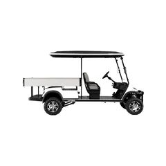 2 Seater Lifted Buggy with Long Cargo (SS-VGC2SL-T03)