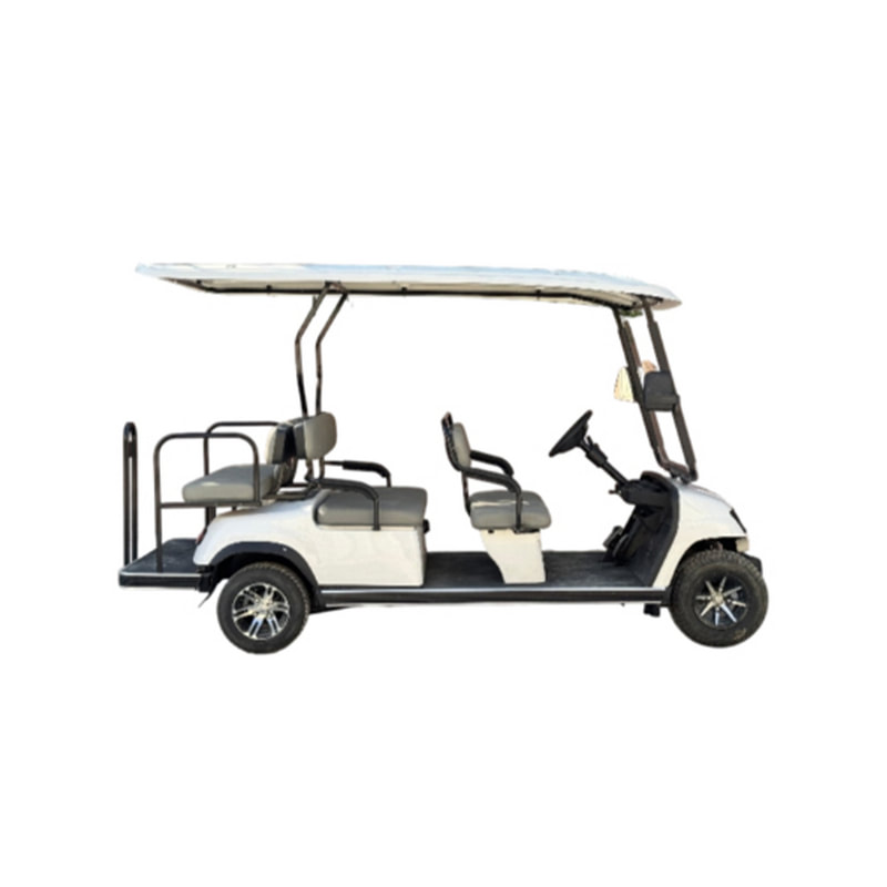 SS-SV-EB-2SLC-T01 2 Seater Long Cargo Buggy 