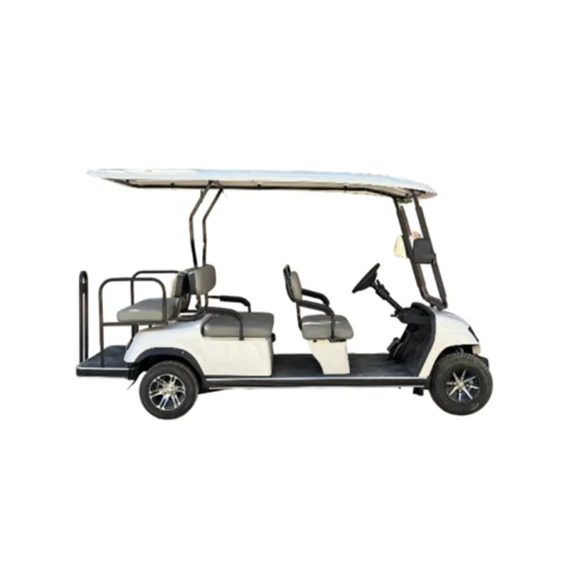 SS-SV-EB-2SLC-T01 2 Seater Long Cargo Buggy 
